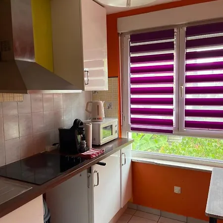 Park Line Garden Apartment Strasbourg